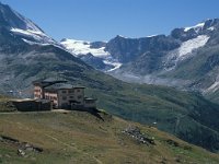 CH, Wallis, Zermatt, Riffelberg 1, Saxifraga-Jan van der Straaten