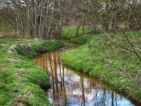 NL, Drenthe, Aa en Hunze, Anlo-erdiepje 1, Saxifraga-Hans Dekker