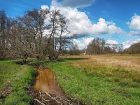 NL, Drenthe, Aa en Hunze, Anlo-erdiepje 6, Saxifraga-Hans Dekker