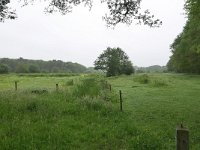 NL, Drenthe, Aa en Hunze, Balloerveld 1, Saxifraga-Tom Heijnen