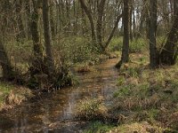 NL, Drenthe, Aa en Hunze, De Burgvallen 11, Saxifraga-Hans Boll