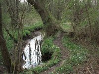 NL, Drenthe, Aa en Hunze, De Burgvallen 29, Saxifraga-Hans Boll