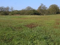 NL, Drenthe, Aa en Hunze, Drentsche Aa 18, Saxifraga-Hans Boll