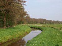 NL, Drenthe, Aa en Hunze, Eleveld 1, Saxifraga-Hans Dekker