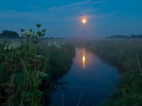 creek in moonlight  Small river in dutch countryside by night : Aa and Hunze, Drenthe, Gasteren, Netherlands, beam, beautiful, beauty, blue, brown, countryside, creative nature, creek, dark, darkness, dutch, environment, evening, fall, flower, flowing, fluid, green, holland, landscape, leaf, light, moon, moonlight, moonscape, natural, nature, night, night photography, outdoor, park, peace, peaceful, plant, ray, recreation, reflecting, reflection, reflections, relaxing, river, rudmer wanderer, scenery, season, serene, shine, spring, stream, summer, turquoise, vegetation, view, walk, water, watercourse