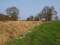 NL, Drenthe, Aa en Hunze, Geelbroek 11, Saxifraga-Hans Dekker