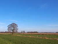 NL, Drenthe, Aa en Hunze, Geelbroek 12, Saxifraga-Hans Dekker