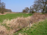 NL, Drenthe, Aa en Hunze, Geelbroek 13, Saxifraga-Hans Dekker