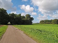 NL, Drenthe, Aa en Hunze, Gieten 3, Saxifraga-Hans Dekker