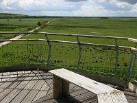 NL, Drenthe, Aa en Hunze, Halkenbroek 1, Saxifraga-Hans Dekker