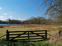 NL, Drenthe, Aa en Hunze, Kampsheide 1, Saxifraga-Hans Dekker