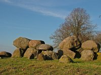 NL, Drenthe, Aa en Hunze, Loon 1, Saxifraga-Hans Dekker