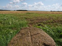 NL, Drenthe, Aa en Hunze, Markesteen Anloo 1, Saxifraga-Hans Dekker