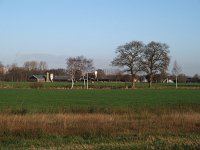 NL, Drenthe, Aa en Hunze, Rolde 1, Saxifraga-Hans Dekker