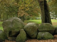 NL, Drenthe, Aa en Hunze, Rolde 4, Saxifraga-Hans Dekker