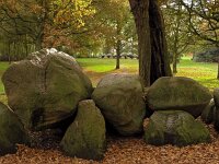 NL, Drenthe, Aa en Hunze, Rolde 5, Saxifraga-Hans Dekker