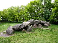 NL, Drenthe, Aa en Hunze, Rolde, Hunebed 1, Saxifraga-Bart Vastenhouw