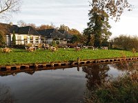 NL, Drenthe, Aa en Hunze, Schipborg 1, Saxifraga-Hans Dekker