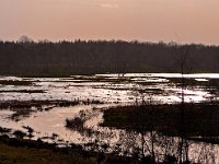 NL, Drenthe, Aa en Hunze, Schipborg 4, Saxifraga-Hans Dekker