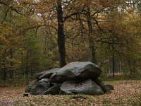 NL, Drenthe, Aa en Hunze, Strubben-Kniphorstbos Schipborg 1, Saxifraga-Hans Dekker