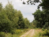 NL, Drenthe, Aa en Hunze, Tweelingen 3, Saxifraga-Hans Dekker