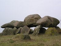 NL, Drenthe, Assen, Loon 1, Saxifraga-Hans Dekker