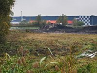 NL, Drenthe, Assen, Witterdiep 4, Saxifraga-Hans Dekker