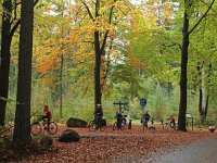 NL, Drenthe, Borger-Odoorn, Borger 3, Saxifraga-Hans Dekker