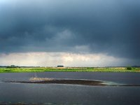 NL, Drenthe, Borger-Odoorn, LOFAR 12, Saxifraga-Hans Dekker