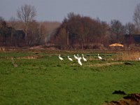 NL, Drenthe, Borger-Odoorn, LOFAR 7, Saxifraga-Hans Dekker