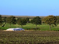 NL, Drenthe, Borger-Odoorn, Voorste Diep 5, Saxifraga-Hans Dekker