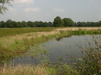 NL, Drenthe, Coevorden, Gees 3, Saxifraga-Hans Boll