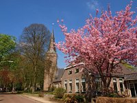 NL, Drenthe, Coevorden, Sleen 2, Saxifraga-Hans Dekker