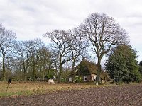 NL, Drenthe, Coevorden, Wezup  1, Saxifraga-Hans Dekker