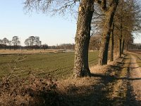 NL, Drenthe, Coevorden, Zweelo 2, Saxifraga-Hans Boll