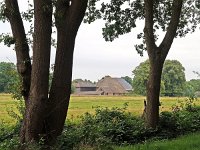 NL, Drenthe, De Wolden, Ansen, Om de Kamp 1, Saxifraga-Hans Dekker