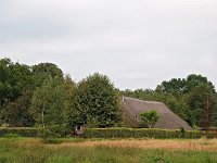 NL, Drenthe, De Wolden, Ansen, Om de Kamp 2, Saxifraga-Hans Dekker