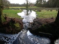 NL, Drenthe, De Wolden, Anserdennen 15, Saxifraga-Hans Dekker