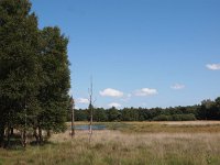 NL, Drenthe, De Wolden, Bovenveen 1, Saxifraga-Hans Dekker