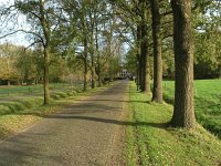 NL, Drenthe, De Wolden, Echten 2, Saxifraga-Hans Dekker