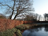 NL, Drenthe, De Wolden, Echten 5, Saxifraga-Hans Dekker