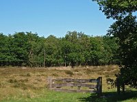 NL, Drenthe, De Wolden, Klein Zwitserland 1, Saxifraga-Hans Dekker