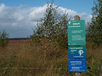 NL, Drenthe, De Wolden, Kraloerheide 9, Saxifraga-Hans Dekker