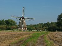 NL, Drenthe, De Wolden, Molen Zaandplatte 1, Saxifraga-Hans Dekker