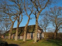 NL, Drenthe, De Wolden, Rheebruggen 4, Saxifraga-Hans Dekker