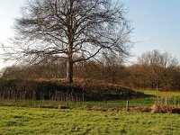 NL, Drenthe, De Wolden, Rheebruggen Borgbargien 1, Saxifraga-Hans Dekker