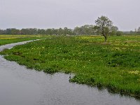 NL, Drenthe, De Wolden, Ruiner Aa 1, Saxifraga-Hans Dekker