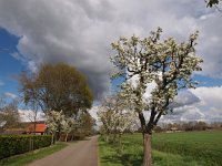 NL, Drenthe, De Wolden, Ruinerwold 7, Saxifraga-Hans Dekker