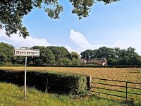 NL, Drenthe, De Wolden, Steenbergen 2, Saxifraga-Hans Dekker