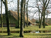 NL, Drenthe, De Wolden, Steenbergen 3, Saxifraga-Hans Dekker